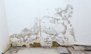 Abblätternde Wand mit großflächigen Feuchte- und Putzschäden.